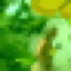 plan cul à Les Vallées de la Vanne : profil de Emilie, 38 ans - inscription gratuite