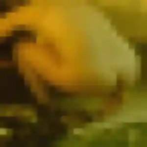 Photo perso de Coralie, 41 ans à Les Villards-sur-Thônes - rencontre coquine