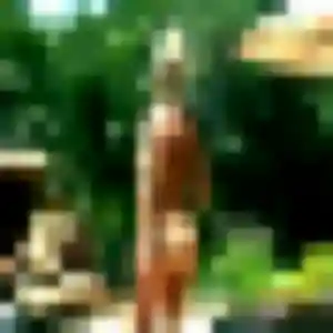 Profil de Regine à Lescure-d'Albigeois (37 ans) - plan cul sans inscription