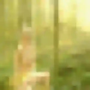 Photo sexy de Denise, 32 ans à Lézat-sur-Lèze - plan discret