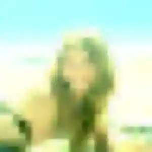 Sexy Raymonde, 31 ans à Lézat-sur-Lèze - la contacter