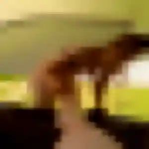 Photo perso de Dominique, 24 ans à Livron-sur-Drôme - rencontre sans lendemain