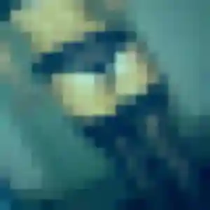 Profil de Daphne à Longeville-sur-Mer (43 ans) - plan cul discret