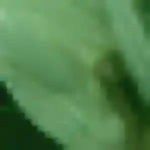 Nadia (22 ans) à Lorgues cherche un plan cul aujourd'hui