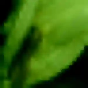 Profil de Gwenaelle à Loury (42 ans) - plan cul anonyme