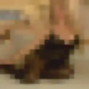 Tania, femme de 31 ans cherche plan cul à Louvil