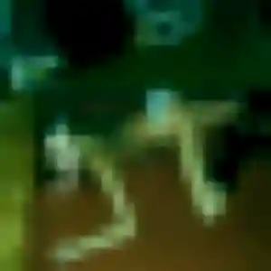 Julie-Anne, fille de 24 ans veut plan cul à Lugon-et-l'Île-du-Carnay