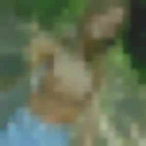 Photo de Nour à Lyaud (29 ans) - plan cul gratuit