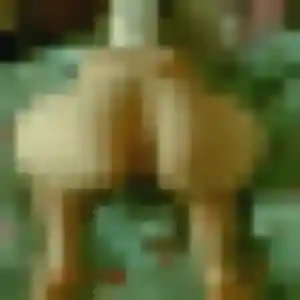 Garance, fille de 37 ans cherche plan cul à Lye