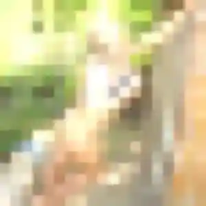 Armelle, femme de 27 ans veut plan cul à Magny-les-Hameaux