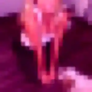 Photo perso de Justine, 43 ans à Maignelay-Montigny - rencontre coquine