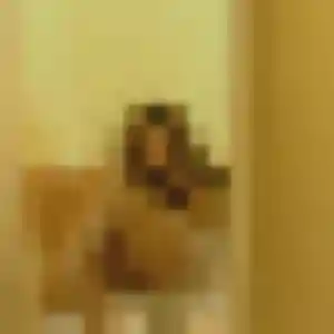 Photo exclusive de Francoise, 31 ans à Maillebois - plan discret