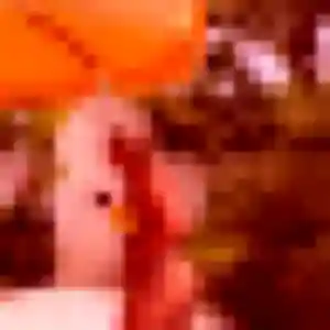 Photo de Violette à Malakoff (33 ans) - plan cul discret