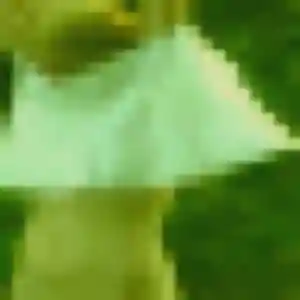 Découvre Zelie, 23 ans à Marcellaz-Albanais gratuitement