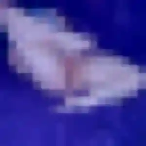 Photo privée de Prune, 37 ans à Marcigny - rencontre coquine