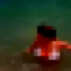 Belle Julie-Anne, 42 ans à Mareau-aux-Prés - la contacter