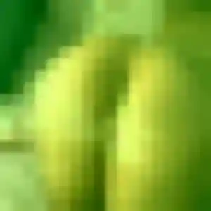 Contacte Charlene, 31 ans à Marennes-Hiers-Brouage en privé