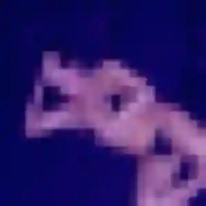 Sexy Alice, 41 ans à Marolles-les-Braults - la contacter