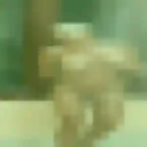 Sexy Irina, 39 ans à Marsanne - la contacter