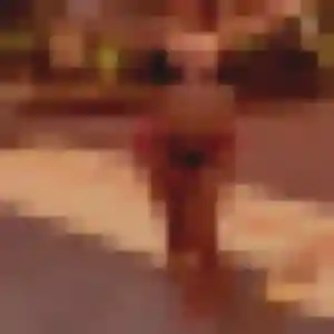 Photo sexy de Elena, 39 ans à Marsat - rencontre coquine
