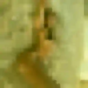 Photo de Laurie à Masseret (35 ans) - plan cul gratuit