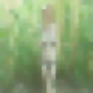 Mila, fille de 42 ans veut plan cul à Massillargues-Attuech