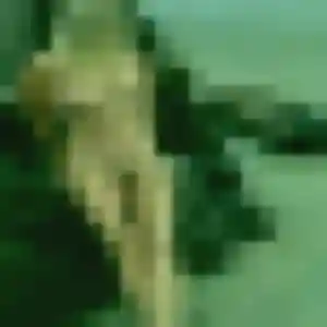 plan cul à Maubert-Fontaine : photo de Eglantine, 34 ans - inscription gratuite