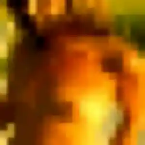 Photo de Louna à Mellé (41 ans) - plan cul discret