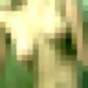 Photo de Margot à Mergey (41 ans) - plan cul anonyme