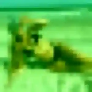 Rejoins Emma, 24 ans à Meschers-sur-Gironde gratuitement