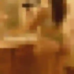 Candice, 40 ans, disponible à Meslan pour un plan cul