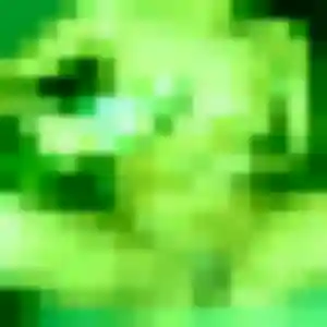 Felicite, 28 ans, veut un plan cul à Messey-sur-Grosne