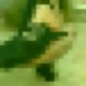 Rejoins Ursule, 43 ans à Messey-sur-Grosne en privé