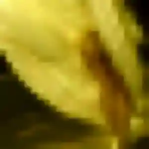 Photo privée de Lisa, 39 ans à Meyrargues - plan discret