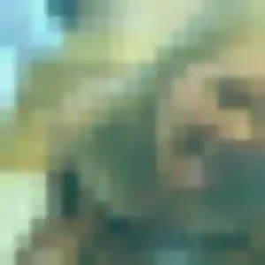 Rencontre Noella, 44 ans à Mézidon Vallée d'Auge en privé