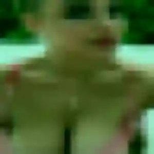 Contacte Patricia, 28 ans à Mézières-sur-Couesnon en privé