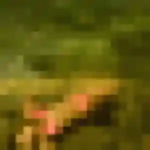 Leonie, 42 ans, en ligne à Mieussy pour une rencontre coquine