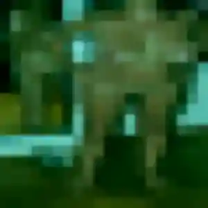 Photo perso de Veronique, 26 ans à Misérieux - rencontre coquine