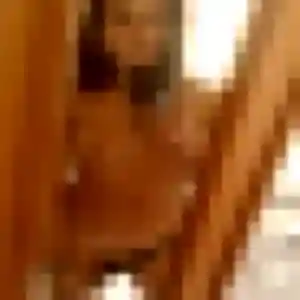Photo perso de Lea-Marie, 26 ans à Molières-Cavaillac - plan discret