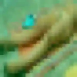 Photo exclusive de Monique, 37 ans à Momères - rencontre coquine