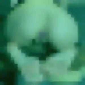 Photo de Jade à Monceaux-sur-Dordogne (42 ans) - plan cul discret