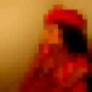 Lucette (23 ans) à Monclar cherche un plan cul rapidement