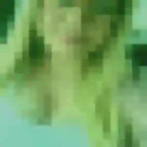 Rejoins Xenia, 44 ans à Mons gratuitement