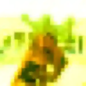 Photo de Josette à Mont-Bonvillers (23 ans) - plan cul discret