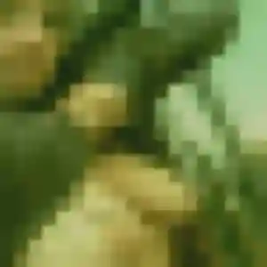 Caroline, 27 ans, connectée à Mont-d'Origny pour une rencontre coquine