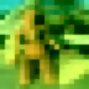 Photo perso de Iseult, 24 ans à Mont-d'Origny - rencontre coquine