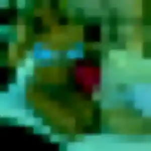 Belle Beatrice, 42 ans à Montagny - découvrir son profil