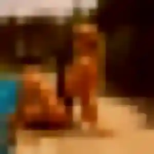 Photo de Regine à Montbeton (33 ans) - plan cul sans inscription