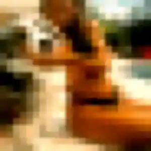 Zina, 43 ans, connectée à Montbeton pour une rencontre coquine