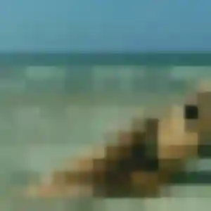 Louna, femme de 25 ans cherche plan cul à Monteils